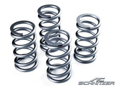 AC Schnitzer - Lowering Springs