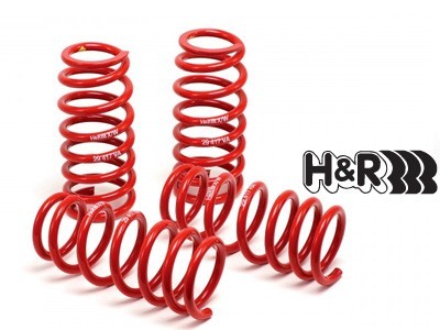 H&R - Race Lowering Springs