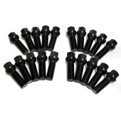 Agency Power 20pc Gloss Black Wheel Lug Bolt Set for Porsche